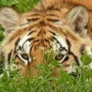 Meet your Posher, Stacie